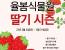 [경기도 광주] 율봄식물원 딸기 시즌 [2월~3월]
