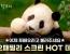 할부지와 바오패밀리의 환상케미🐼 《안녕, 할부지》 메인 예고편 CGV